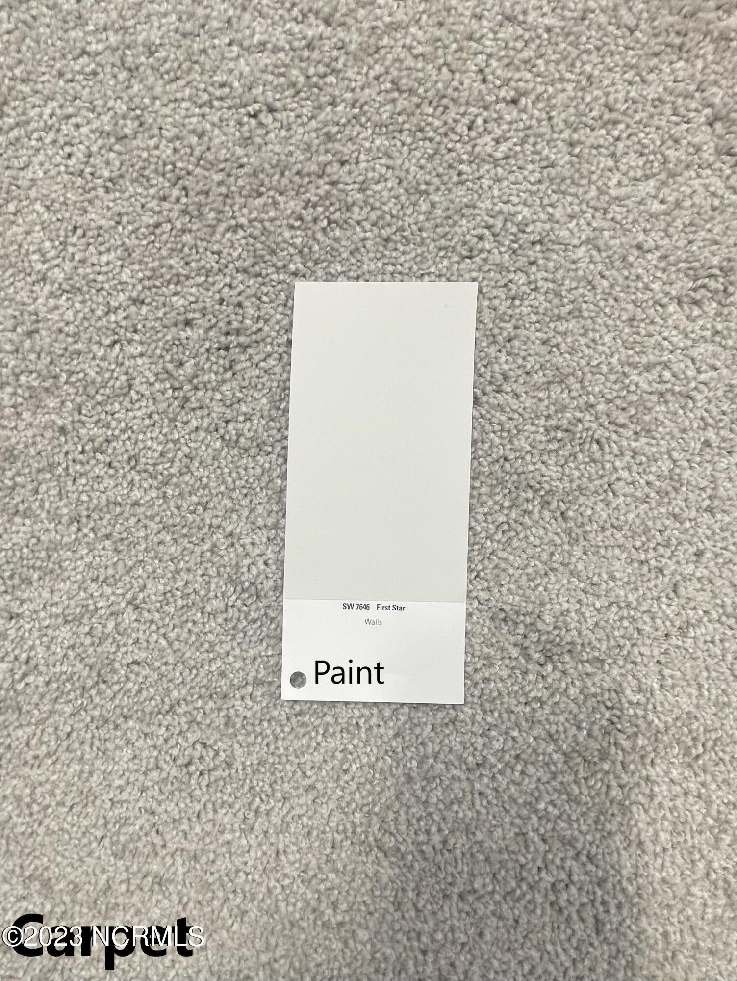 883 Winds Way Aberdeen, NC 28315 - Photo 23 of 51 WW64 Carpet Paint