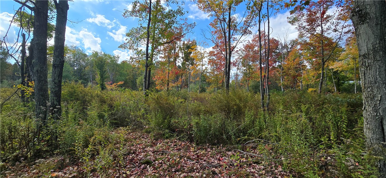 4740 Tucker Road Thurston, NY 14821 - Photo 16 of 46 Gallery Image 16