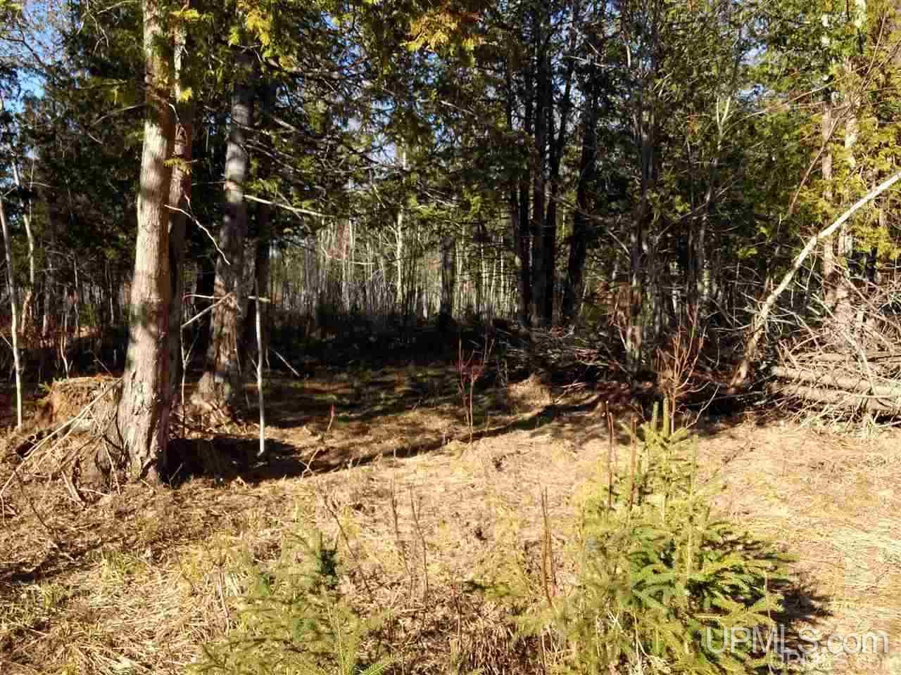 Tbd Sandstone B Road Lake Linden, MI 49945 - Photo 20 of 50