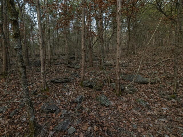 13789 North Branch Road Omaha, AR 72662 - Photo 17 of 24 IMG_7367
