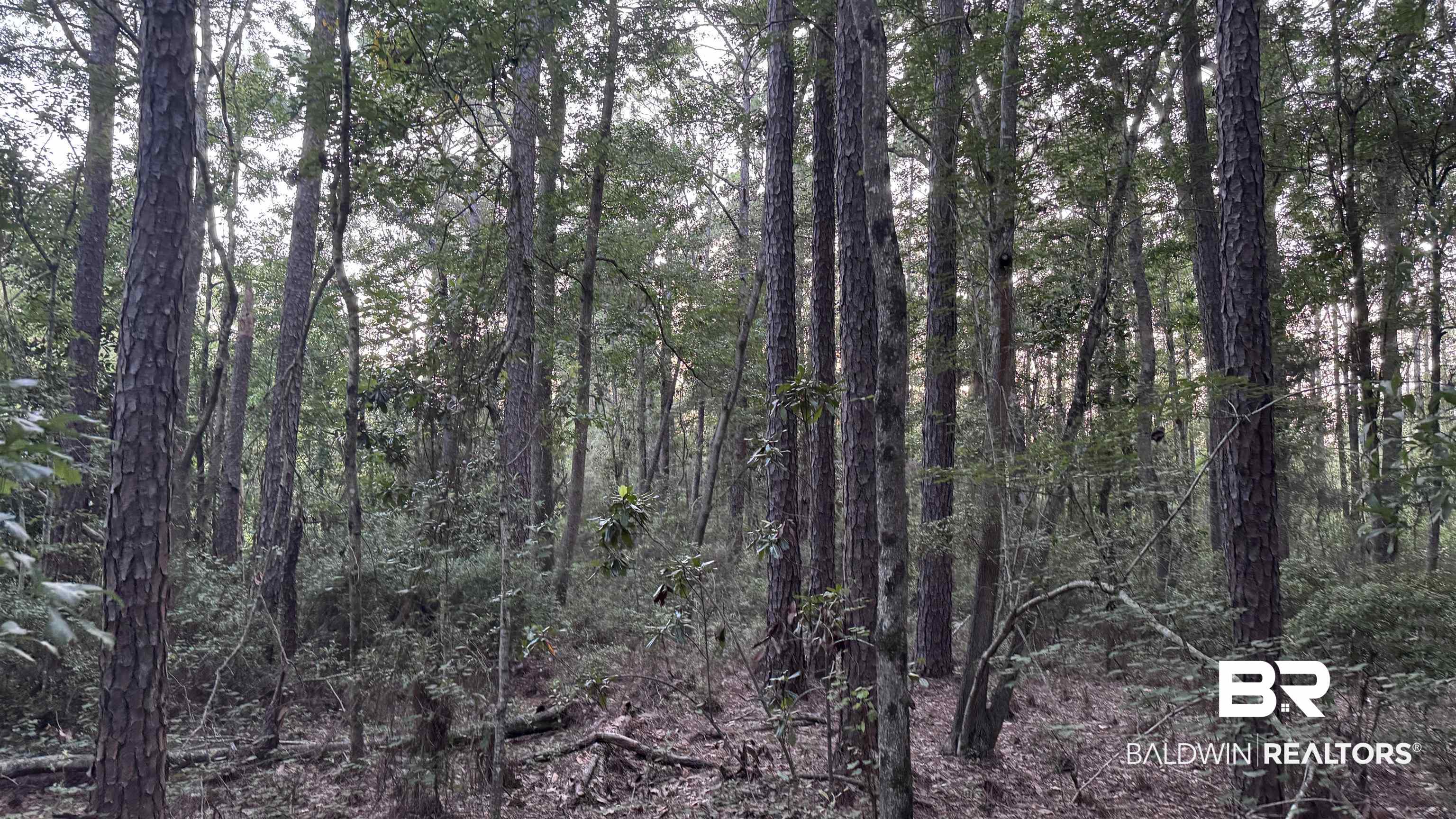 0 Highway 188 Coden, AL 36523 - Photo 30 of 37 Gallery Image 30
