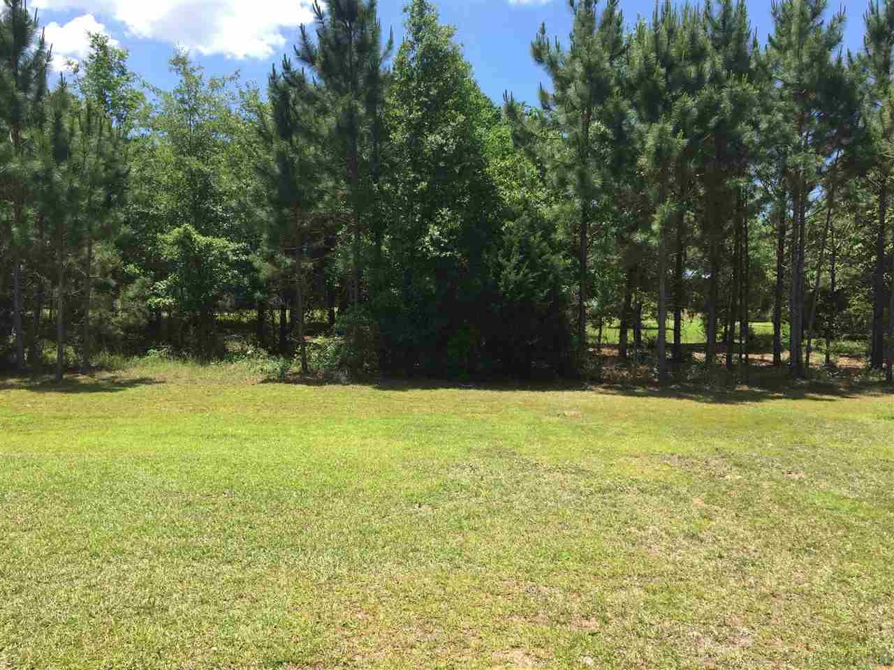 3901 Elevator Court Pace, FL 32571 - Photo 34 of 36
