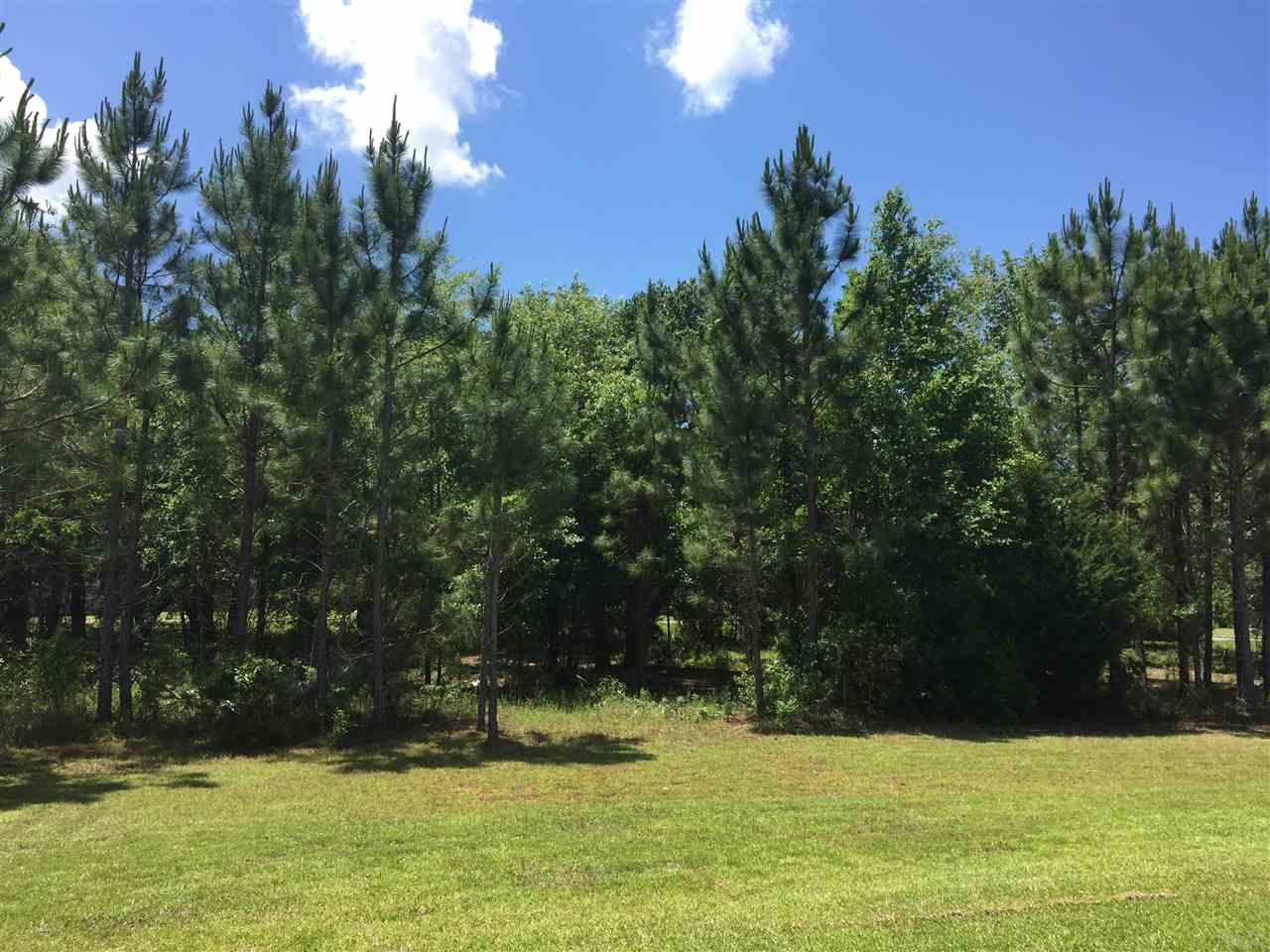 3901 Elevator Court Pace, FL 32571 - Photo 5 of 36