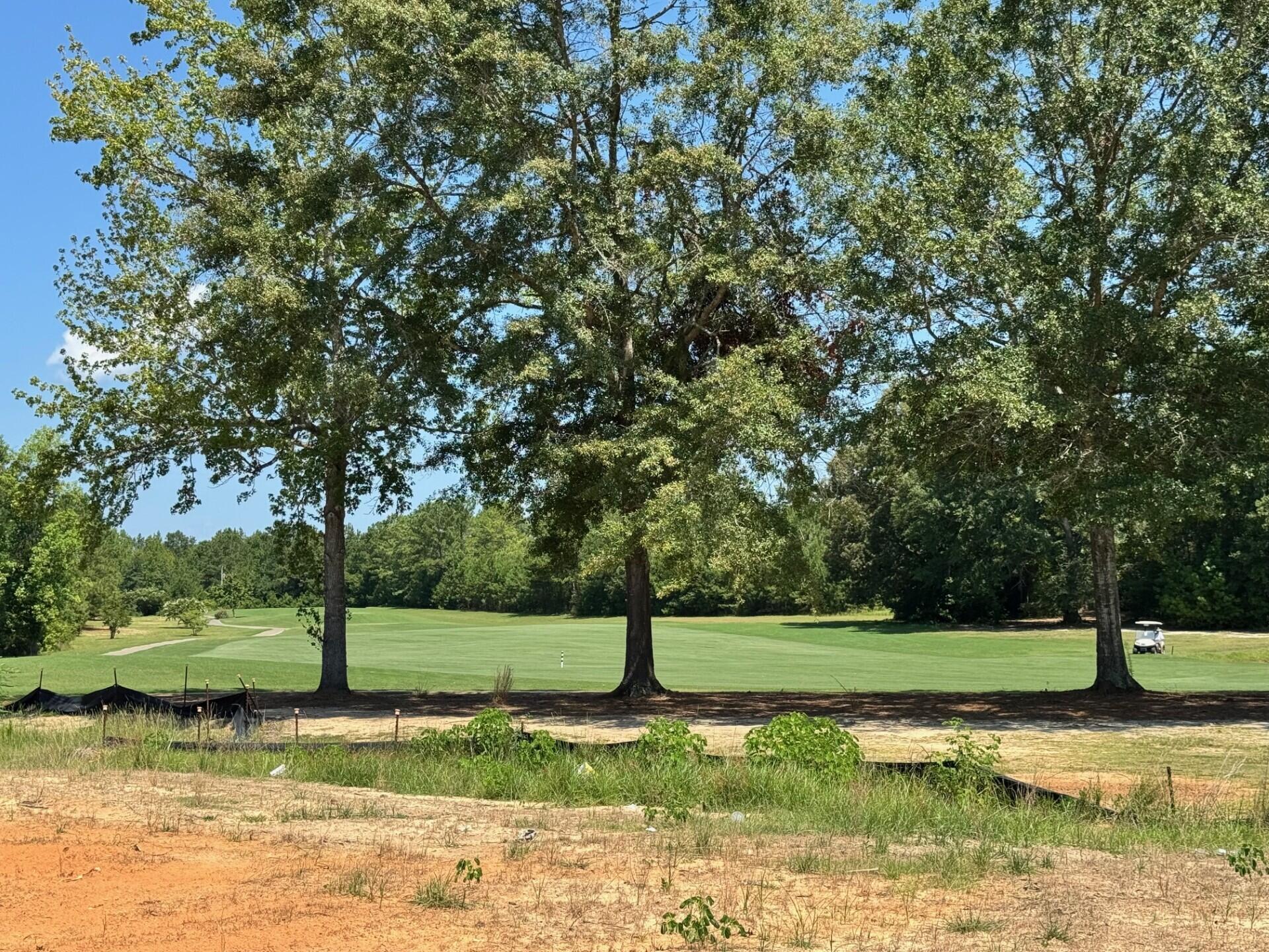 1014 Par Three Court Manning, SC 29102 - Photo 17 of 22 golf view from back porch