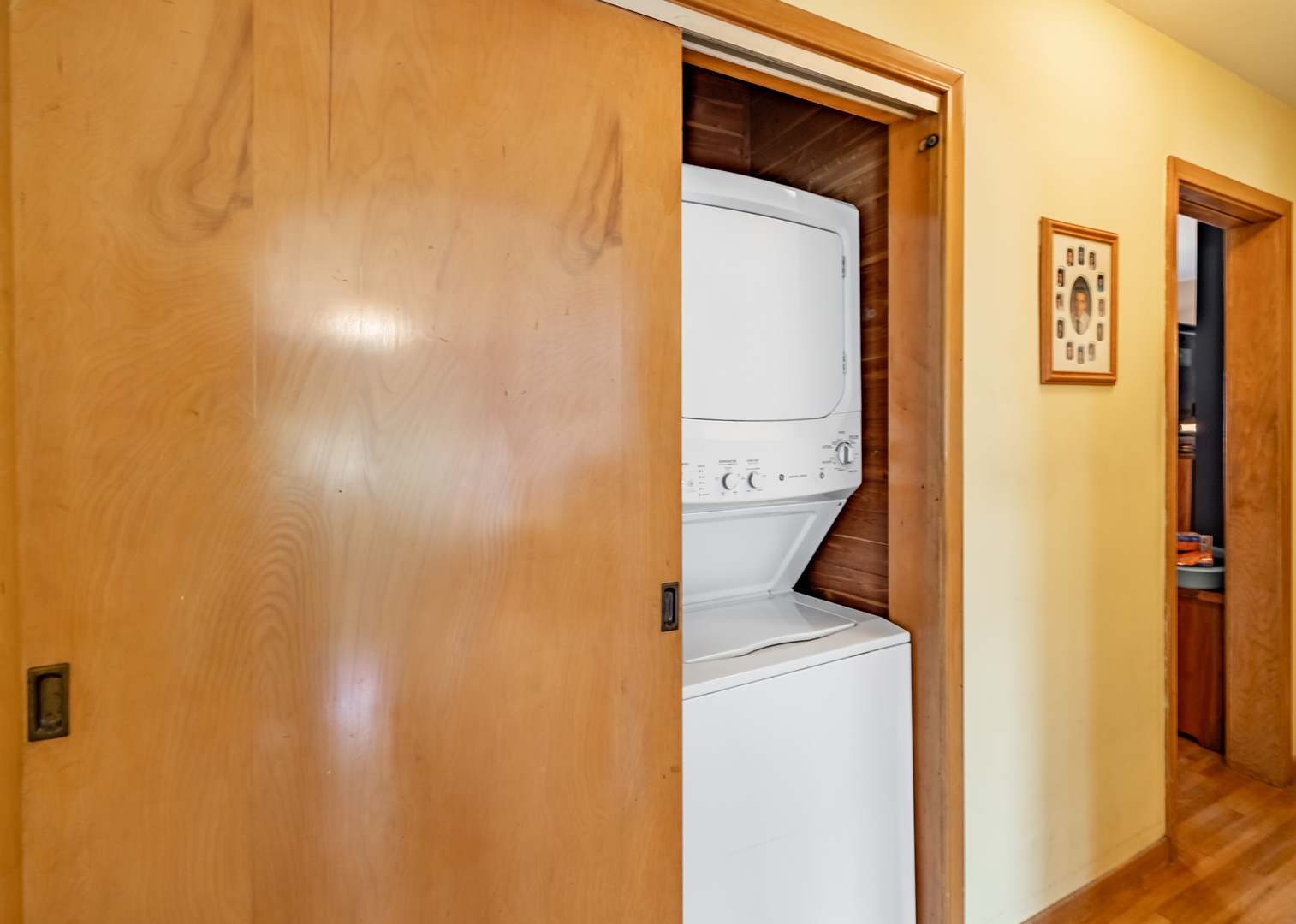 63 South Union Street Elgin, IL 60123 - Photo 4 of 15