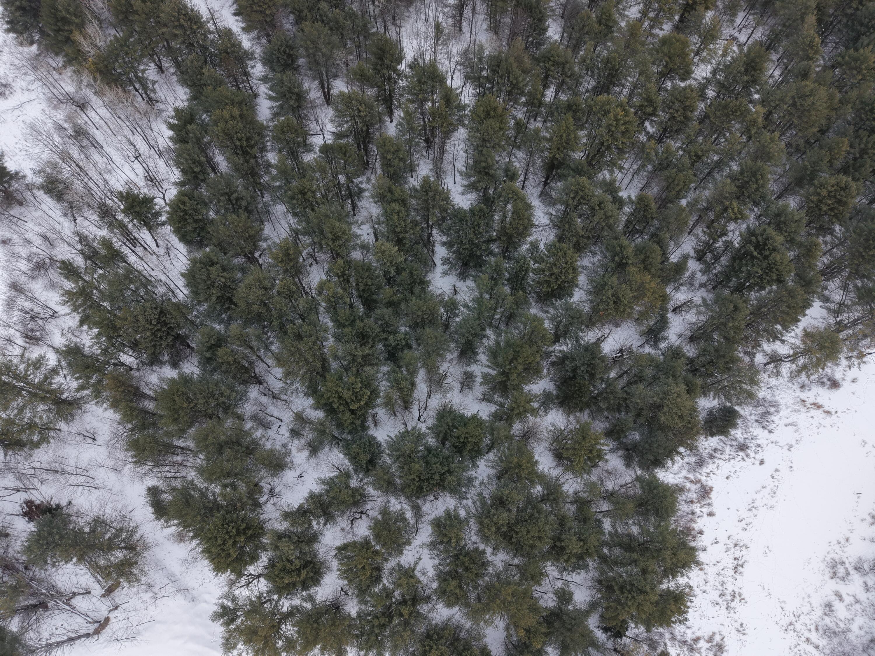 Lot 17 Cony Road Augusta, ME 04330 - Photo 10 of 14 dji_fly_20260204_105538_0019_17702208739
