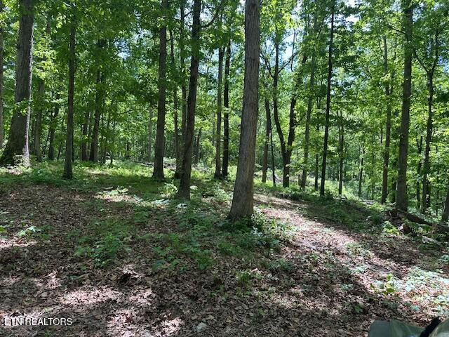 0 Salem Road Parrottsville, TN 37843 - Photo 11 of 17 IMG_4920