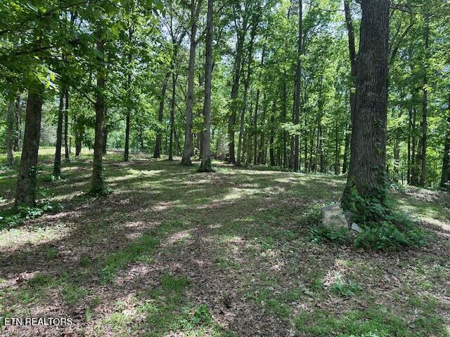 0 Salem Road Parrottsville, TN 37843 - Photo 8 of 17 IMG_4915