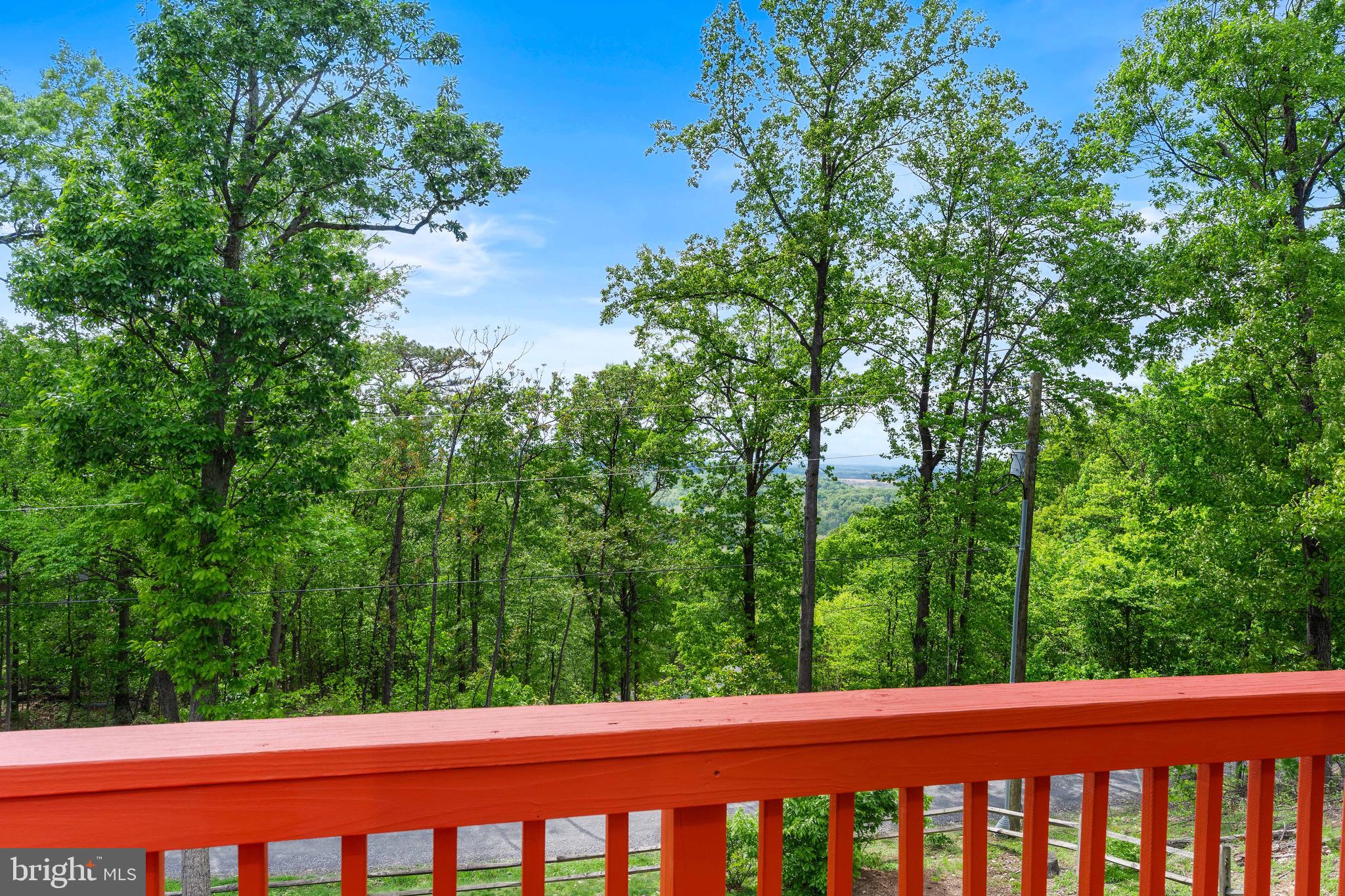 252 Wendy Hill Road Front Royal, VA 22630 - Photo 44 of 60