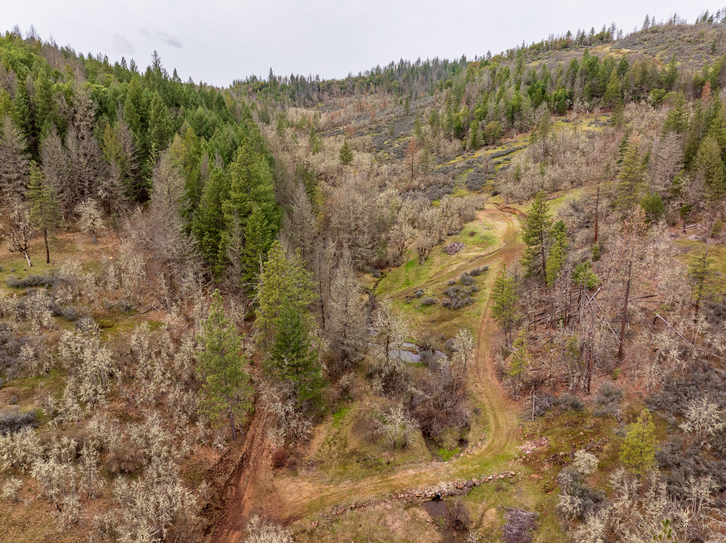 2527 Crowfoot Road Eagle Point, OR 97524 - Photo 22 of 24 2527CrowfootRd-024