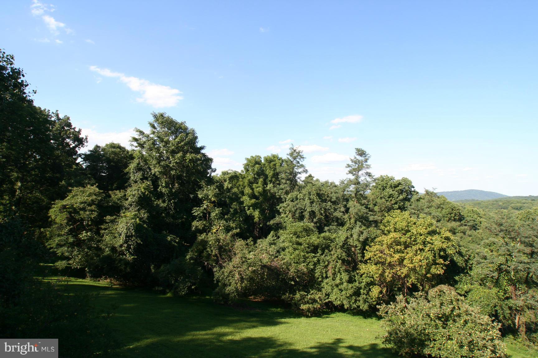 3775 Fiery Run Road Linden, VA 22642 - Photo 2 of 13 View