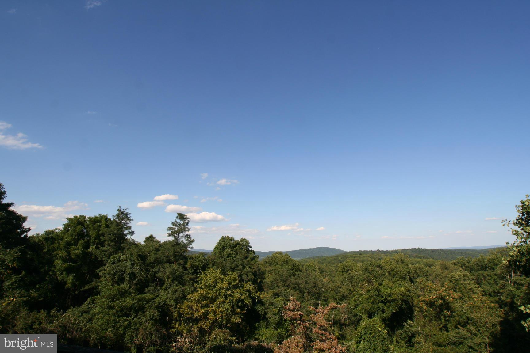 3775 Fiery Run Road Linden, VA 22642 - Photo 11 of 13 View