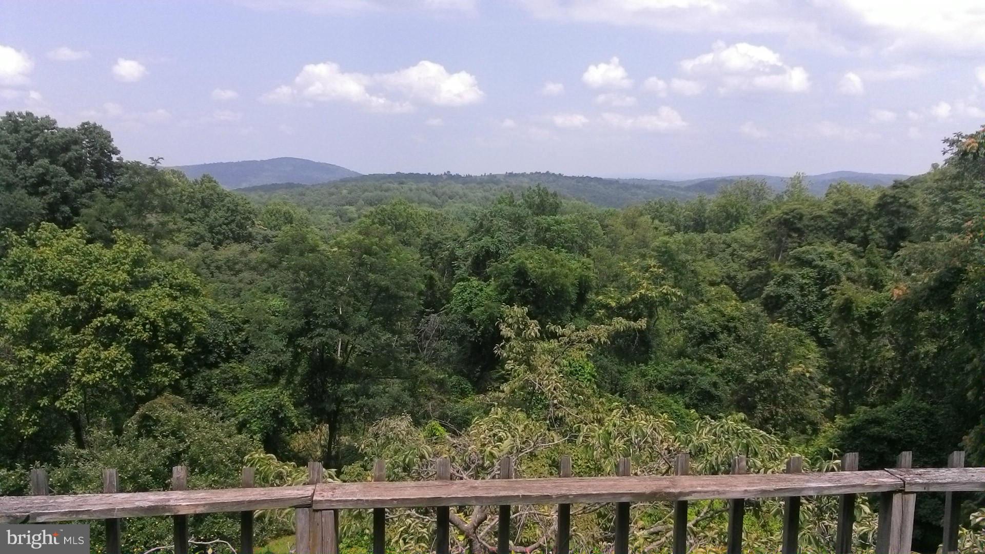 3775 Fiery Run Road Linden, VA 22642 - Photo 13 of 13 View