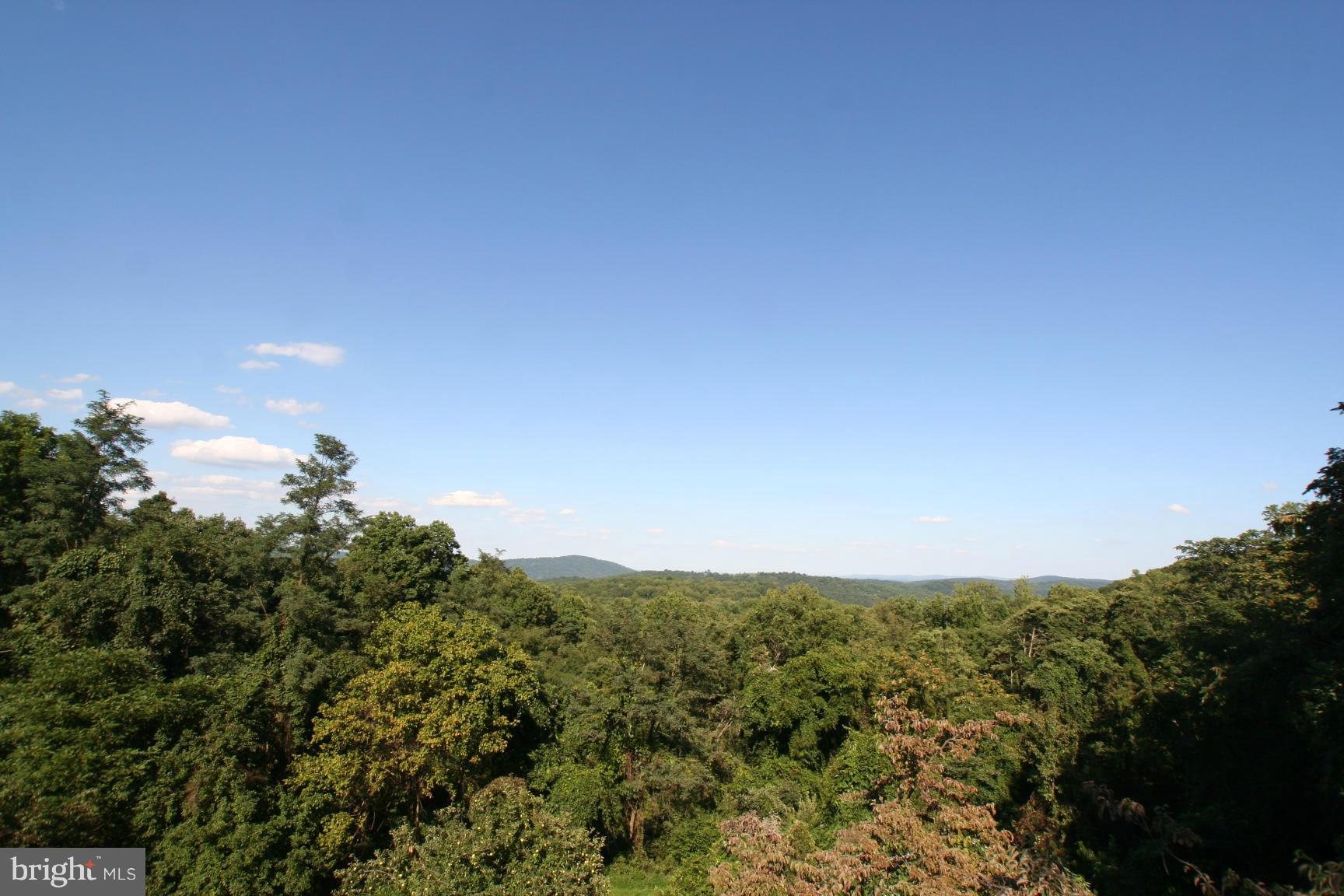 3775 Fiery Run Road Linden, VA 22642 - Photo 8 of 13 View