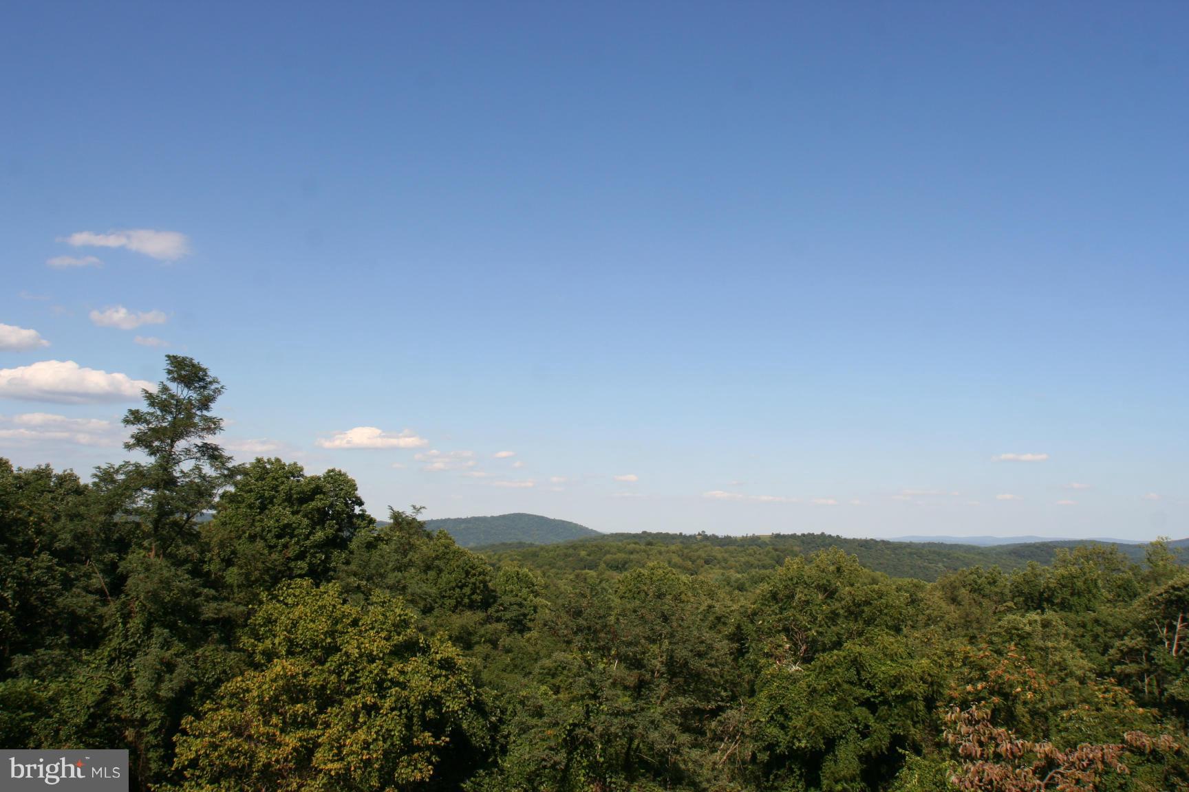3775 Fiery Run Road Linden, VA 22642 - Photo 10 of 13 View