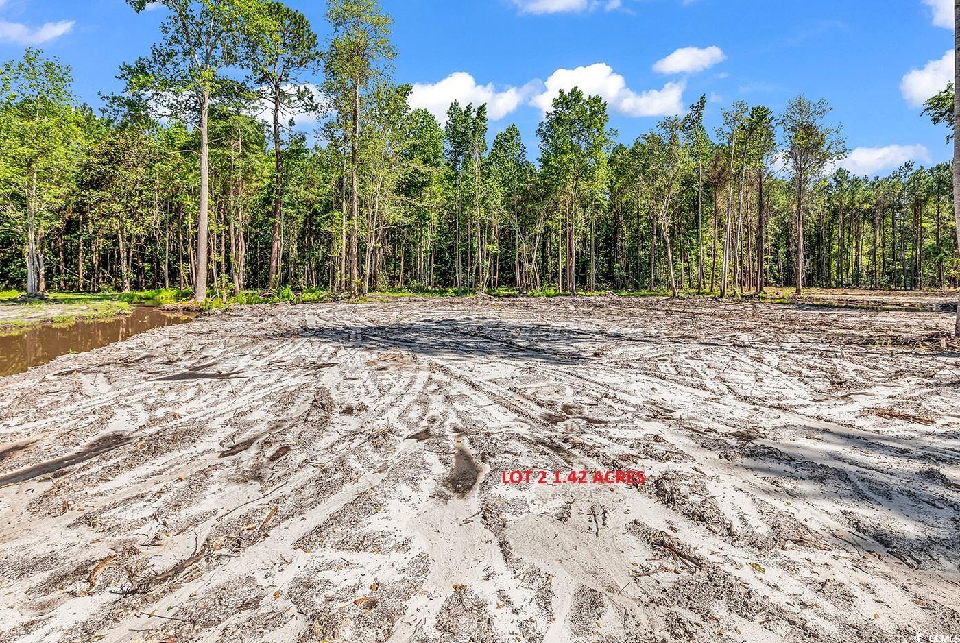 Tbb2 Coats Road Loris, SC 29569 - Photo 5 of 10 View of yard featuring a forest view