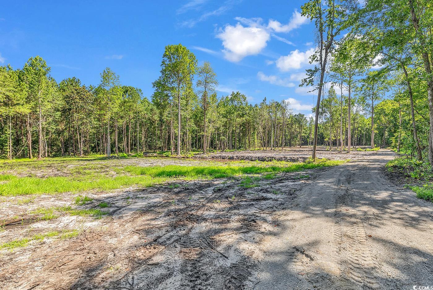 Tbb2 Coats Road Loris, SC 29569 - Photo 10 of 10