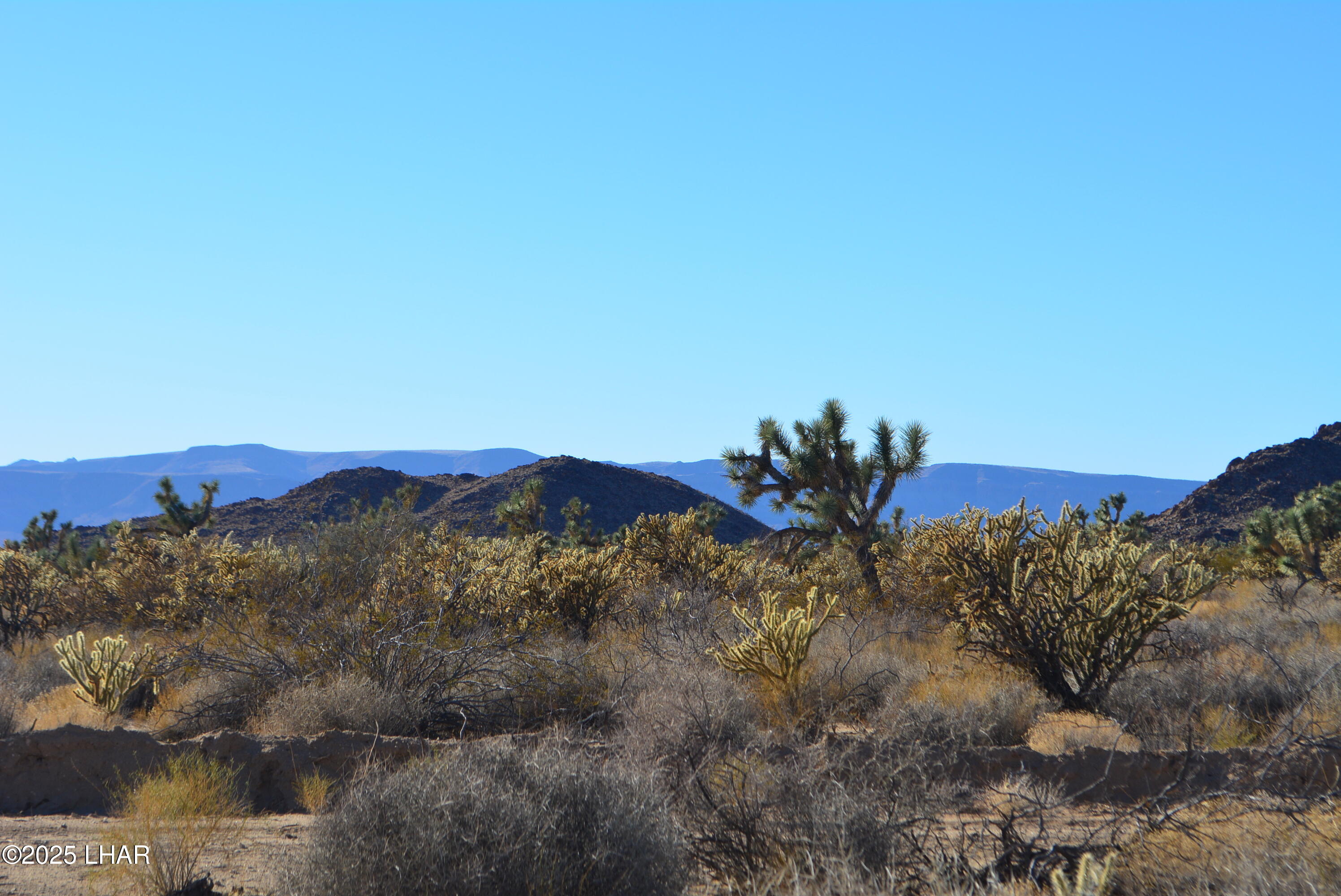 11900 Alan Road Yucca, AZ 86438 - Photo 19 of 93 DSC_0359