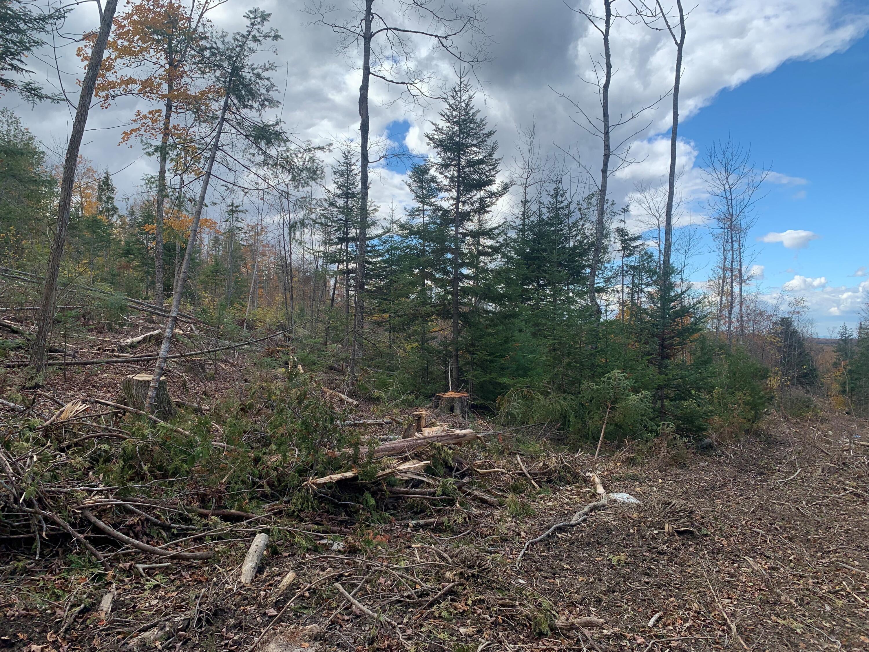 0 Sheepskin Road Carroll Plt, ME 04487 - Photo 2 of 17 MLS2