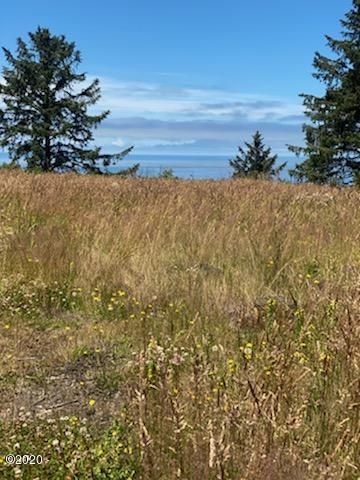 54100 South Beach Road Neskowin, OR 97149 - Photo 2 of 5 IMG_8697