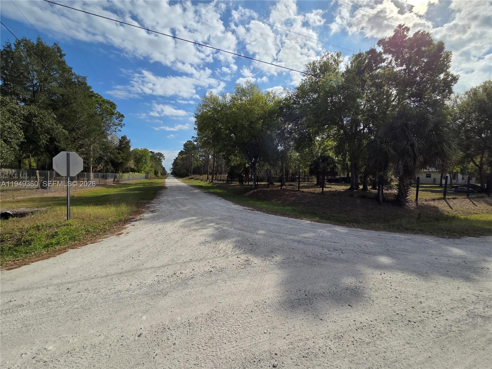 940 Deer Street Clewiston, FL 33440 - Photo 1 of 8 a view of outdoor space with yard and green space