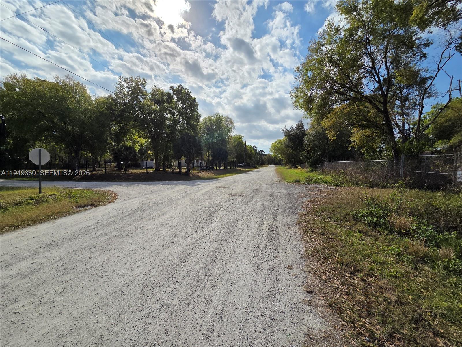 940 Deer Street Clewiston, FL 33440 - Photo 2 of 8 a view of a yard with palm trees