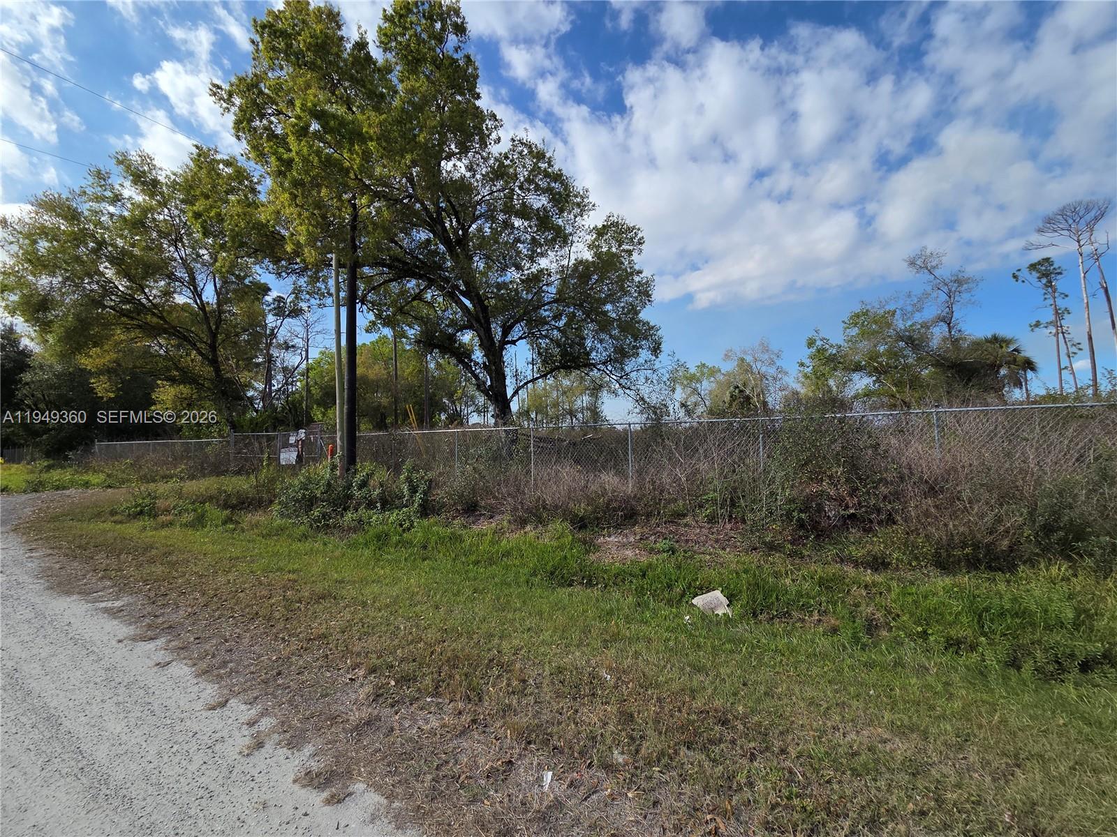 940 Deer Street Clewiston, FL 33440 - Photo 4 of 8 a backyard of a house with lots of green space