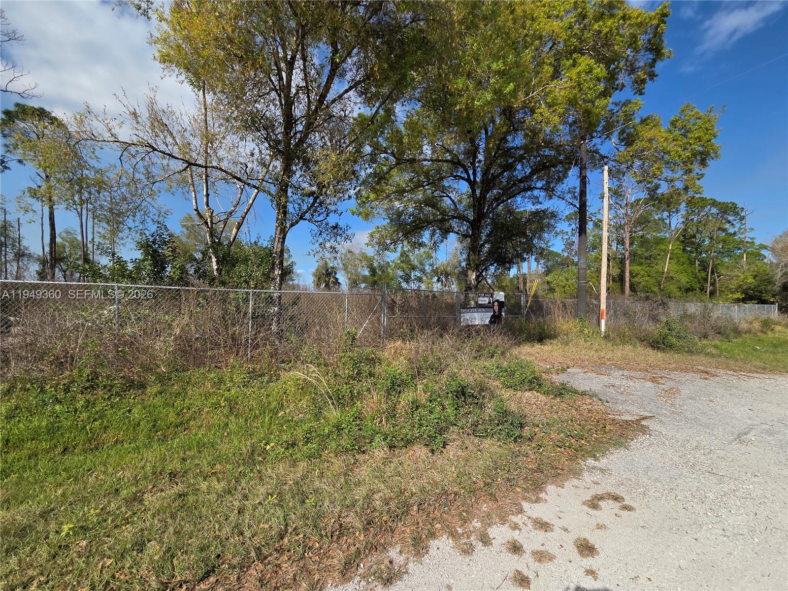 940 Deer Street Clewiston, FL 33440 - Photo 5 of 8 a view of backyard with green space