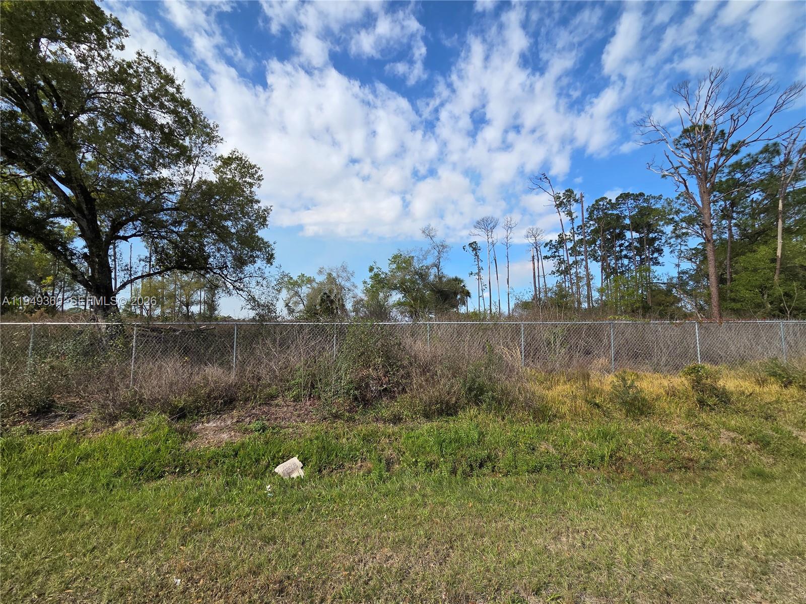 940 Deer Street Clewiston, FL 33440 - Photo 6 of 8 a view of a green yard