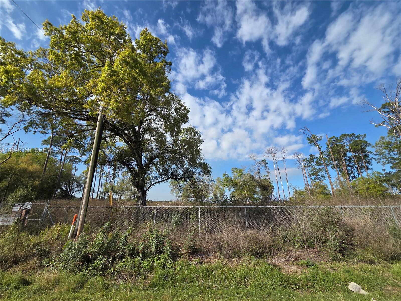 940 Deer Street Clewiston, FL 33440 - Photo 7 of 8 a view of a lake from a yard