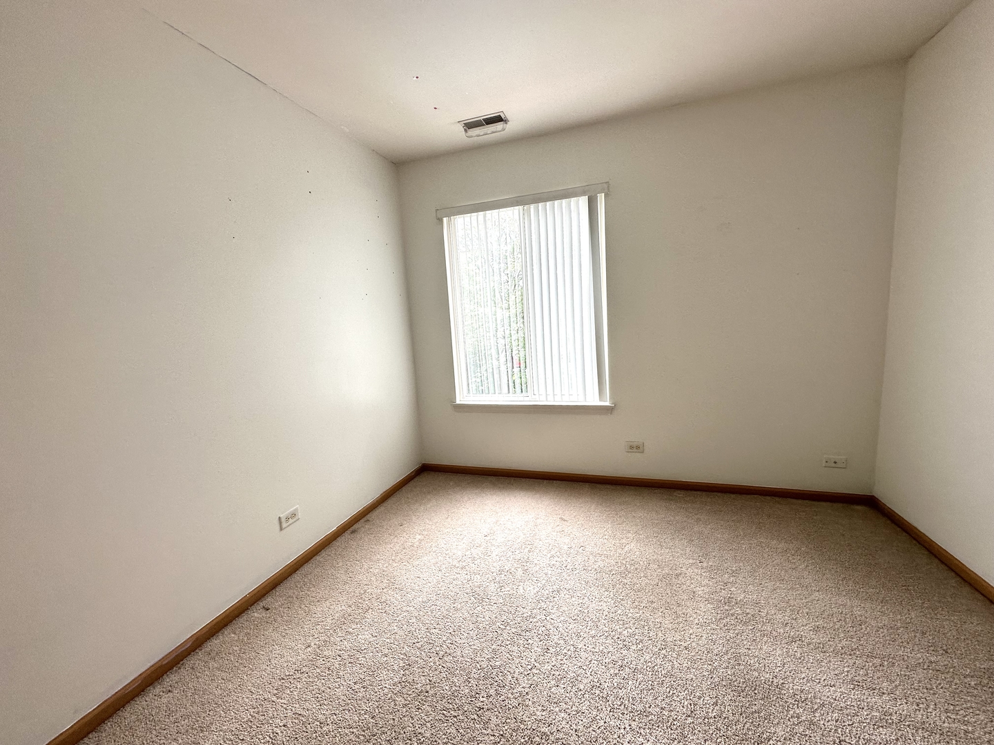 3103 Allen Street Plano, IL 60545 - Photo 11 of 20