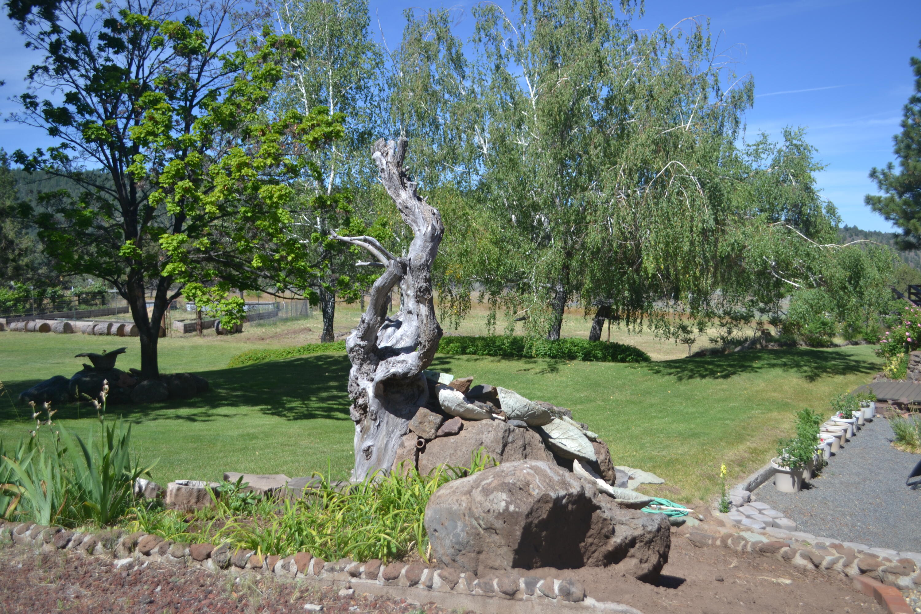 542-405 Punkin Center Road Bieber, CA 96009 - Photo 124 of 127 MH YARD