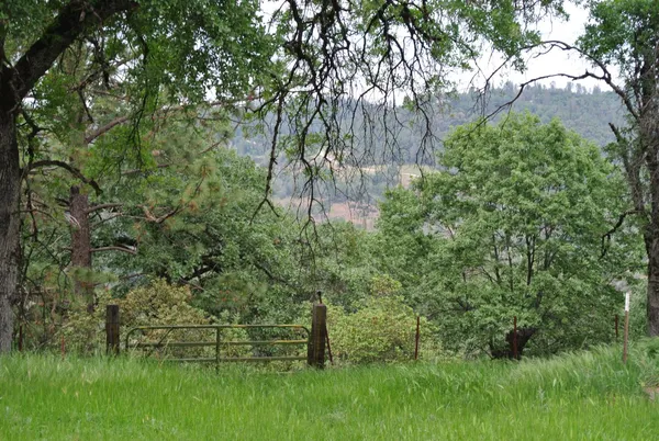 $445,000 | 6385 McKeon Ponderosa Way, Foresthill, CA 95631