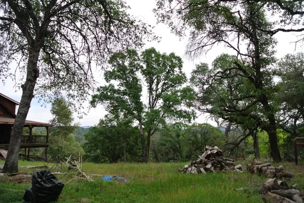 $445,000 | 6385 McKeon Ponderosa Way, Foresthill, CA 95631