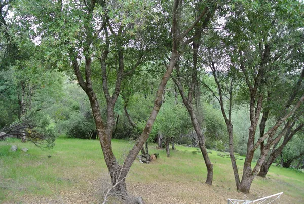 $445,000 | 6385 McKeon Ponderosa Way, Foresthill, CA 95631