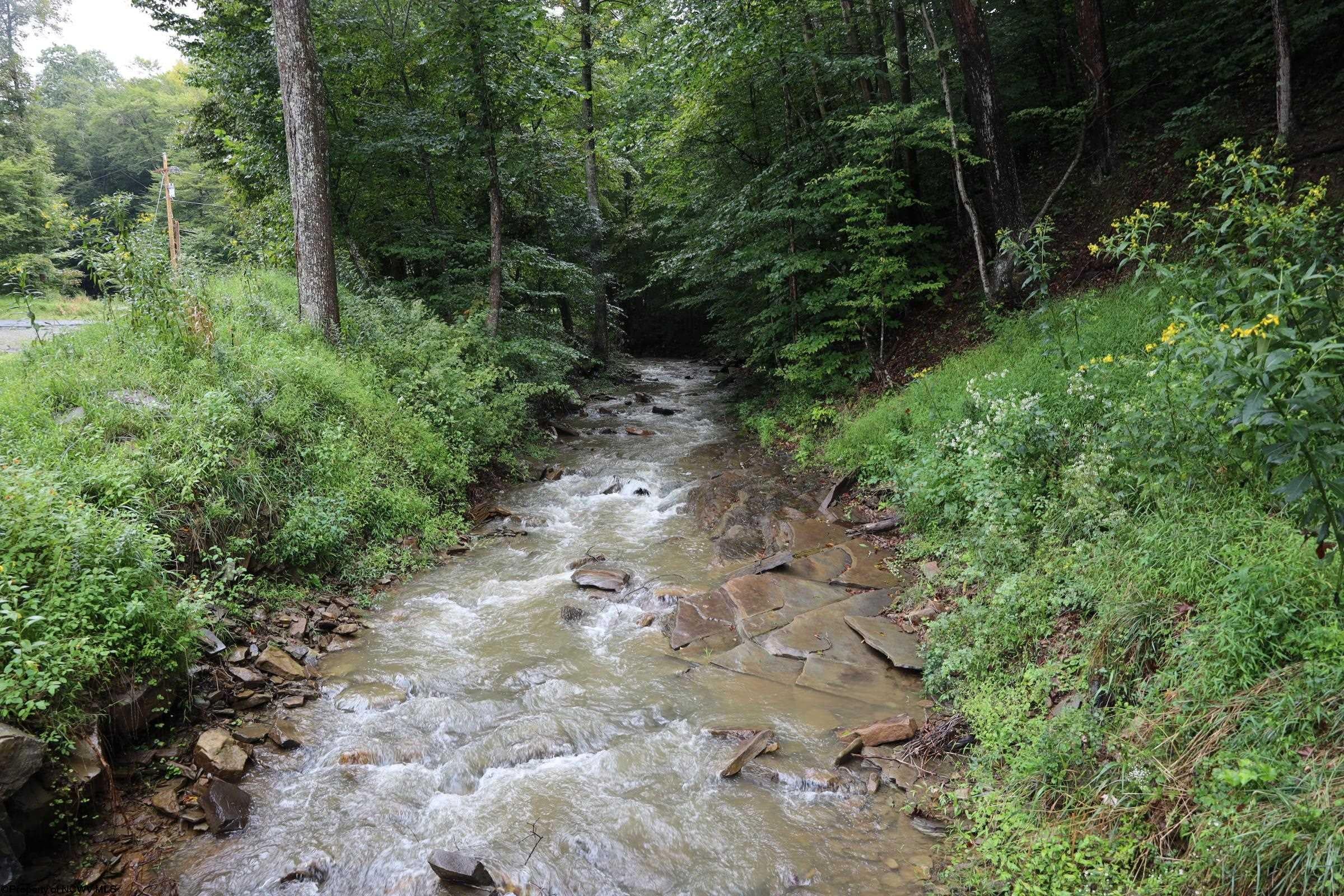 Tbd Bull Run Road Parsons, WV 26287 - Photo 17 of 21 Gallery Image 17