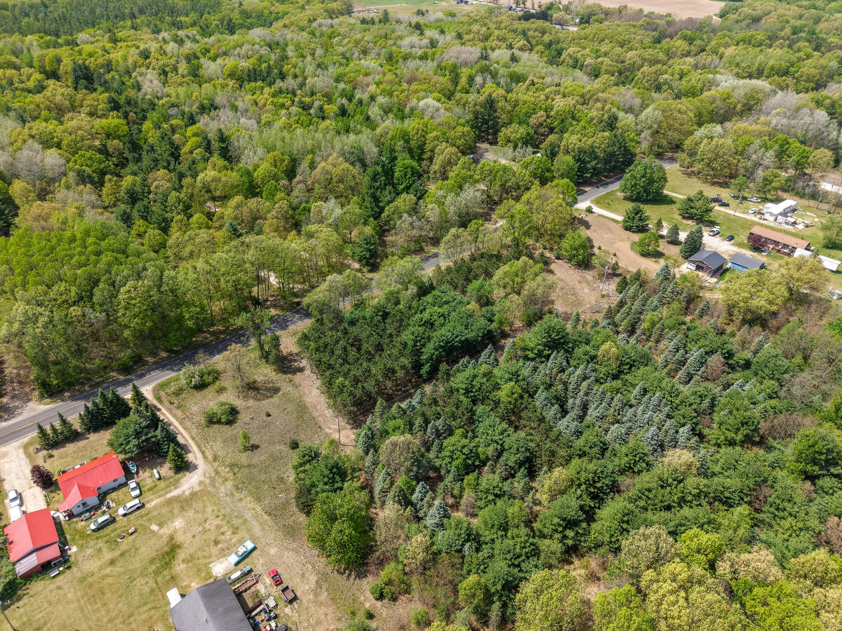 Parcel B West County Line Road Gowen, MI 49326 - Photo 6 of 15 15325-Montcalm_203
