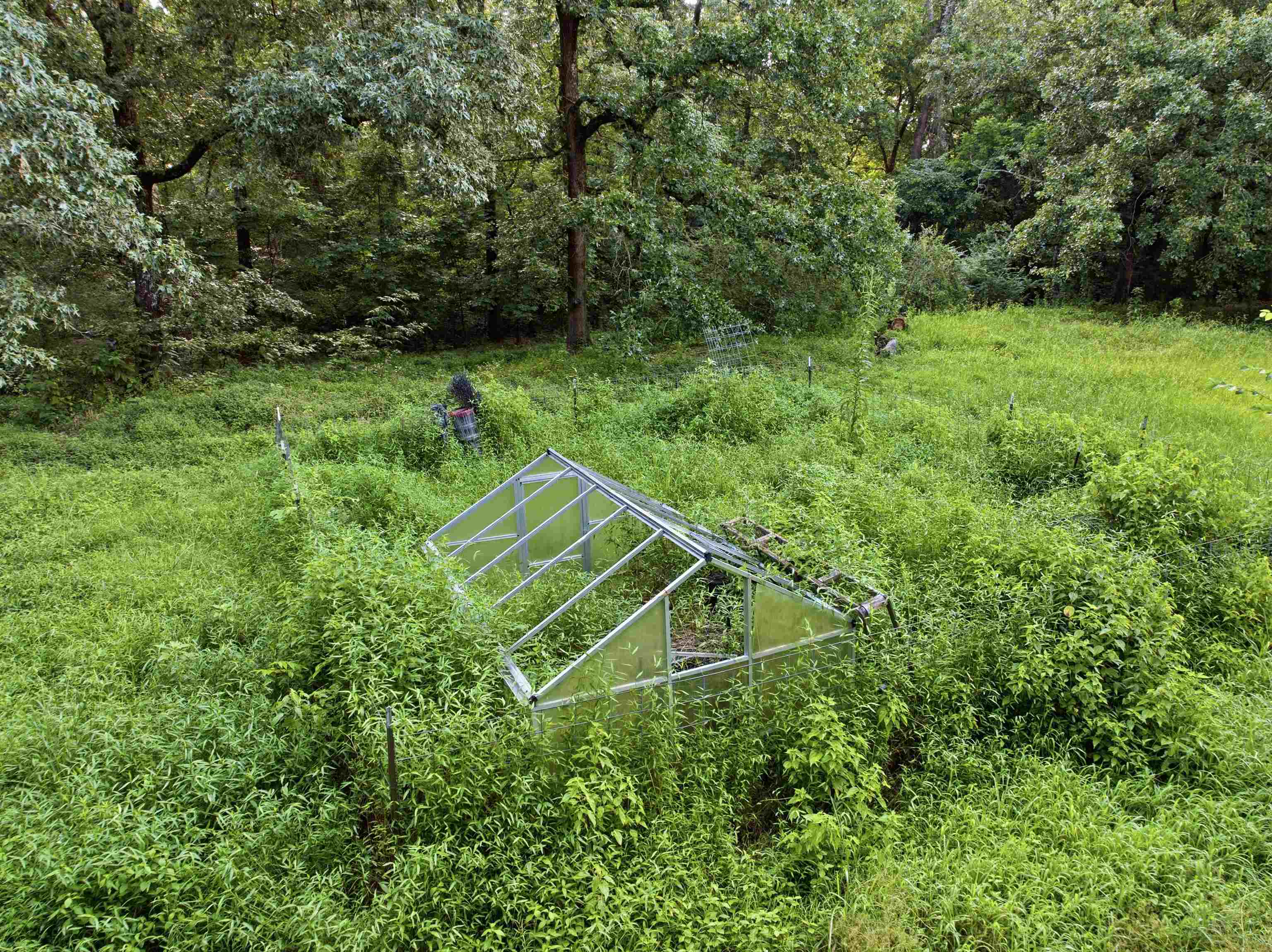 7320 McKinstry Road Moscow, TN 38057 - Photo 30 of 40 A charming greenhouse offers endless possibilities for year-round gardening, fresh herbs, or flowers, surrounded by peaceful wooded views and plenty of space to create your own outdoor oasis.