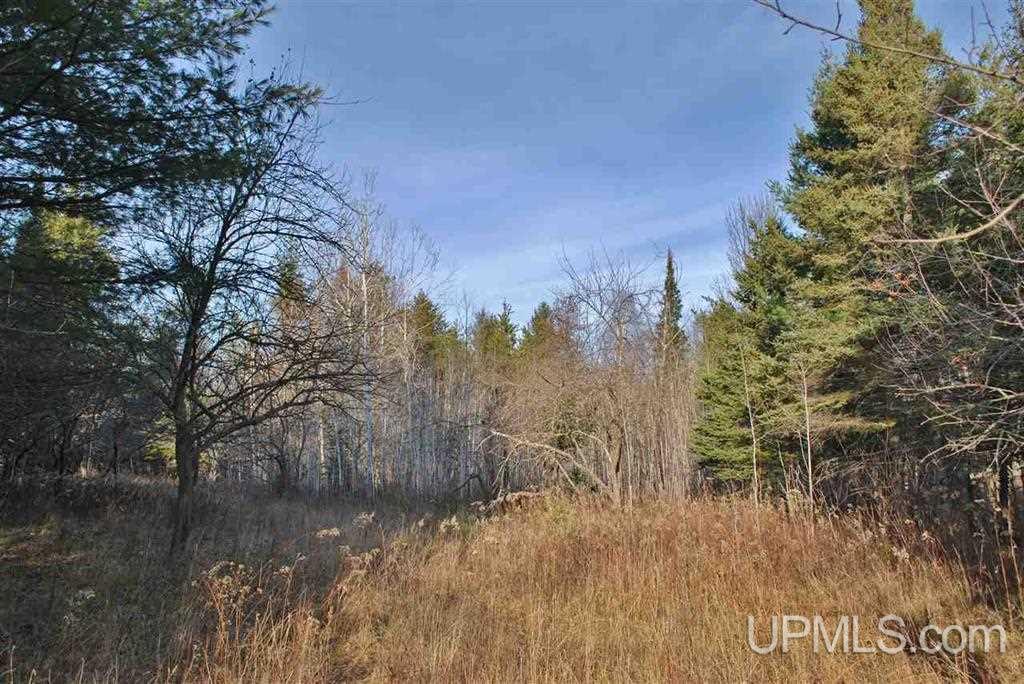 25215 Bootjack Road Lake Linden, MI 49945 - Photo 28 of 33