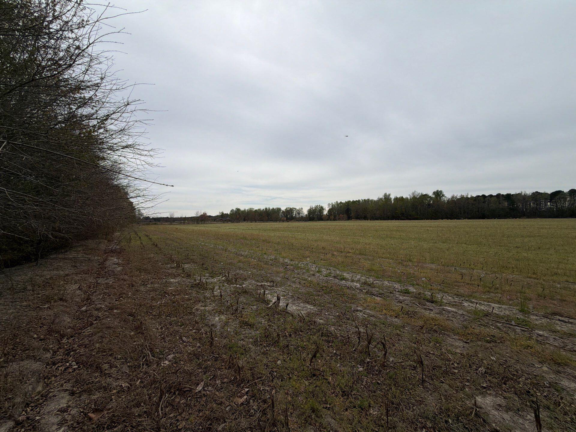 1 Judson Road, Unit MTA 1 Dillon, SC 29536 - Photo 24 of 28