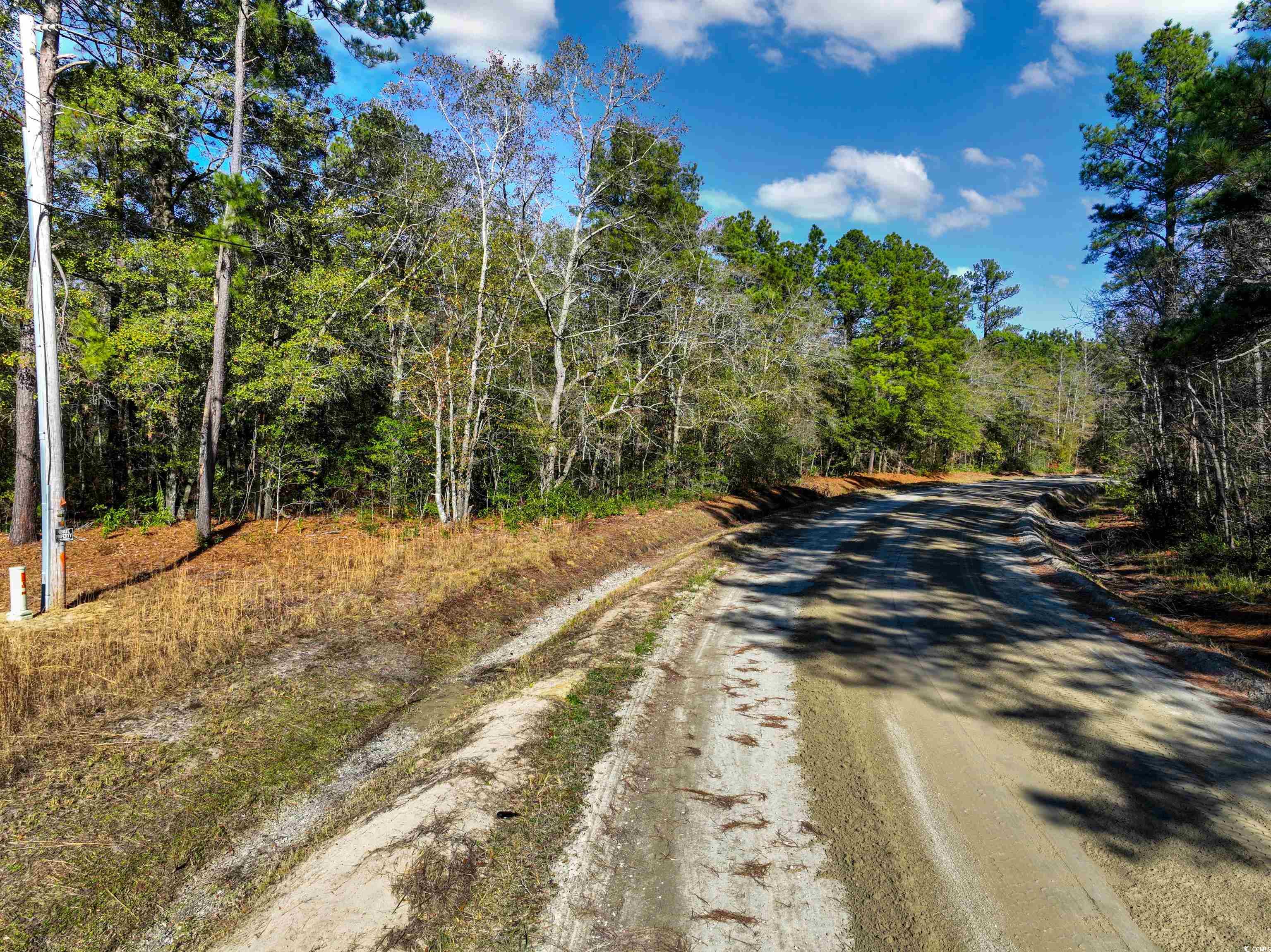 Tbd Sand Hill Bay Road Loris, SC 29569 - Photo 10 of 15