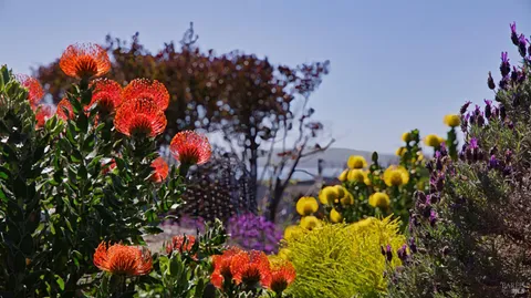 $1,795,000 | 142 Poppy Court, Bodega Bay, CA 94923