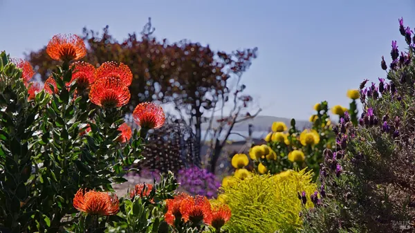$1,795,000 | 142 Poppy Court, Bodega Bay, CA 94923