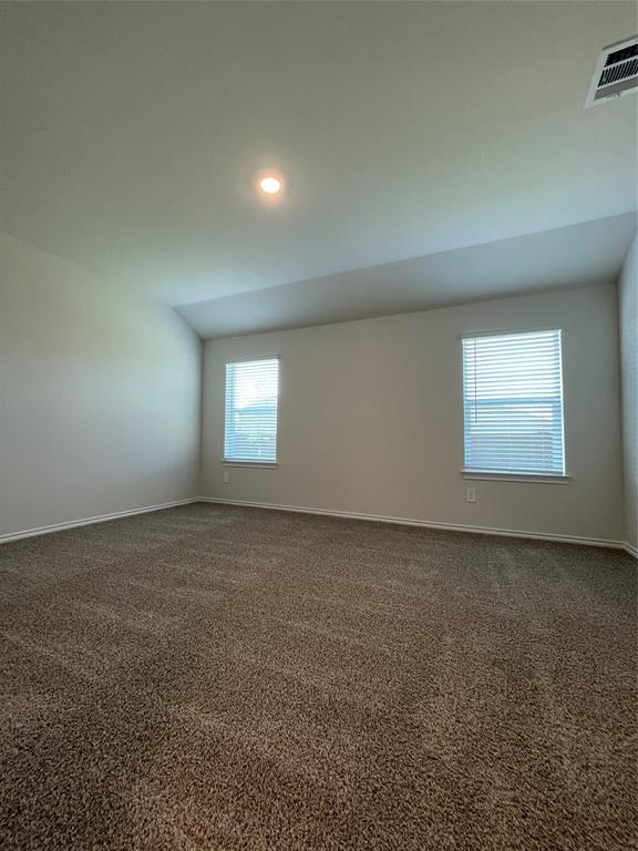 744 Sweet Pea Drive Pilot Point, TX 76258 - Photo 18 of 32
