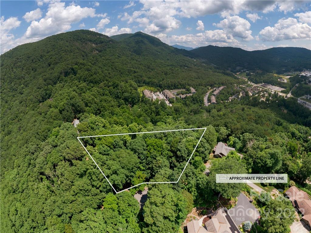 46 Cedar Summit Road Asheville, NC 28803 - Photo 1 of 8 Gallery Image 1