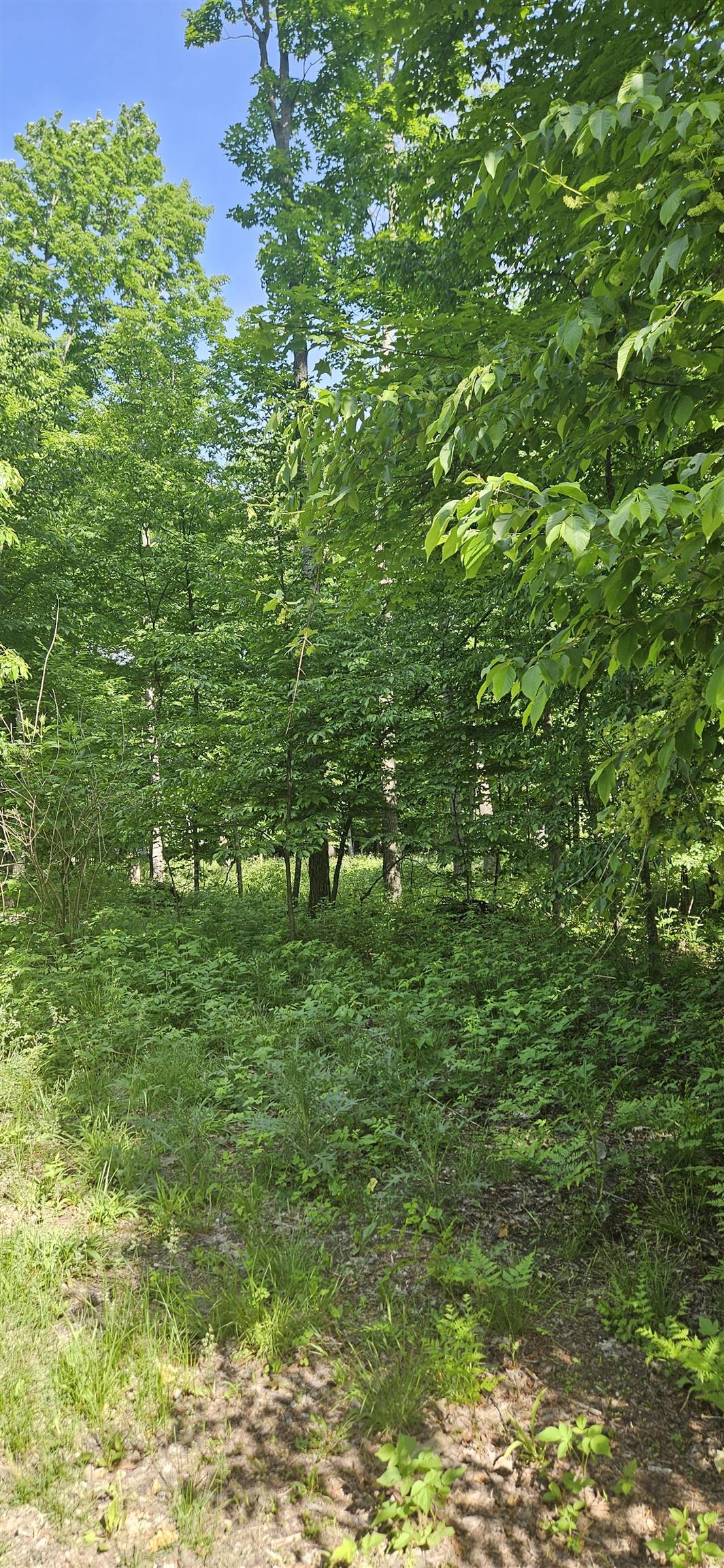 4882 Norton Road Traverse City, MI 49685 - Photo 15 of 15 1926114-a384b08d-c646-4bd6-8d10-7d34d27f00f5.JPG