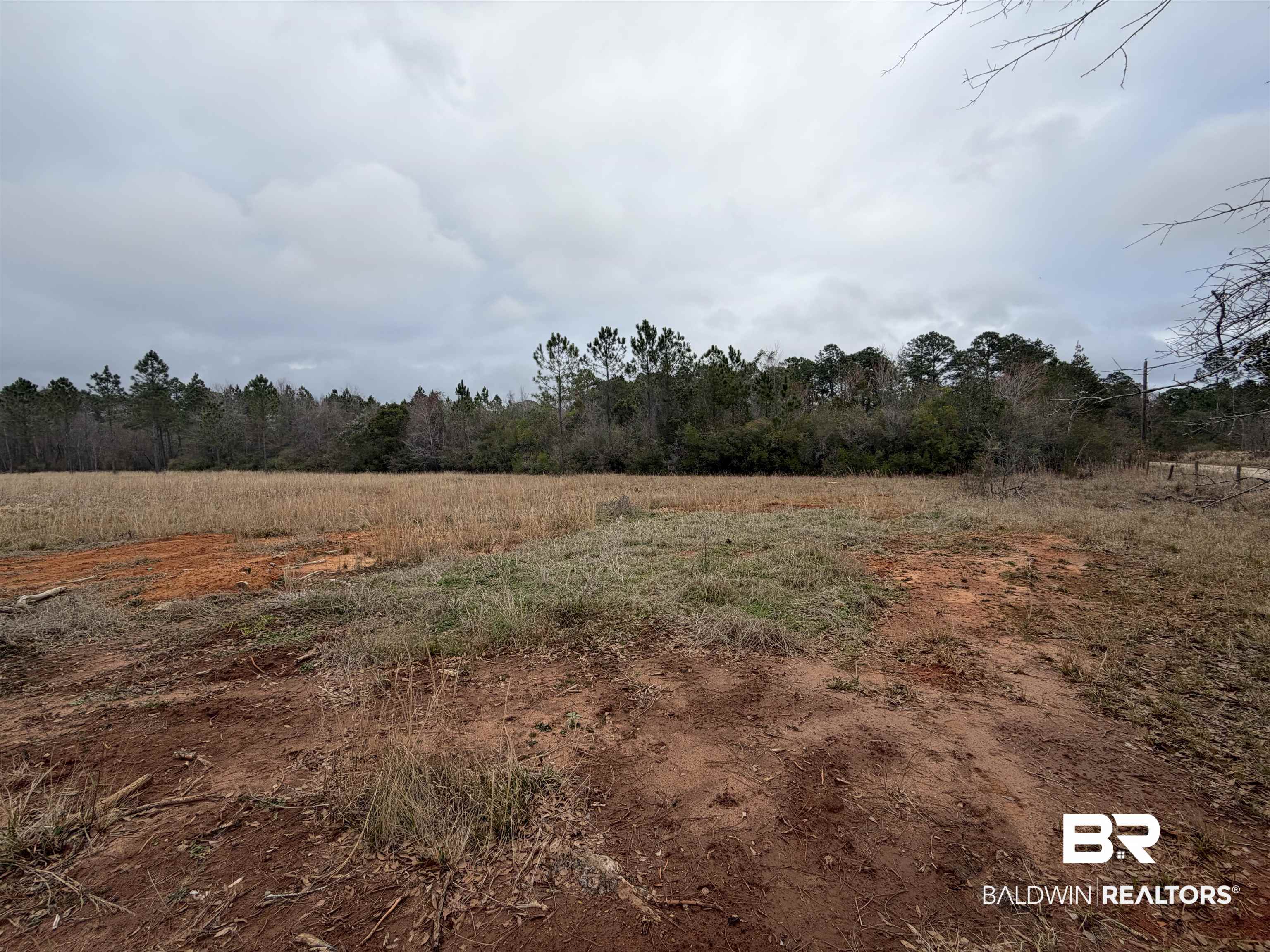 10585 Bellingrath Road Theodore, AL 36582 - Photo 8 of 14 View of undeveloped land featuring rural landscape