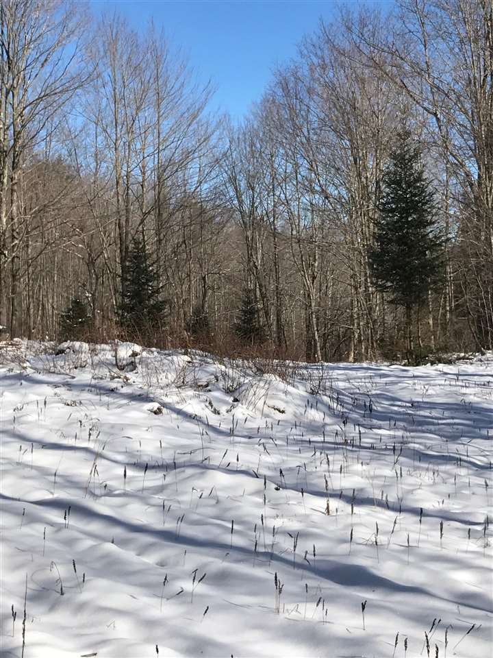 18 Mt Vista Road Underhill, VT 05489 - Photo 11 of 18 Gallery Image 11