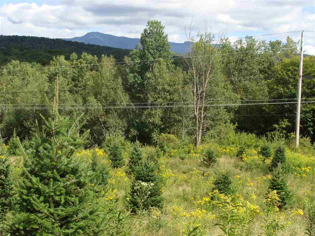 18 Mt Vista Road Underhill, VT 05489 - Photo 14 of 18 Gallery Image 14