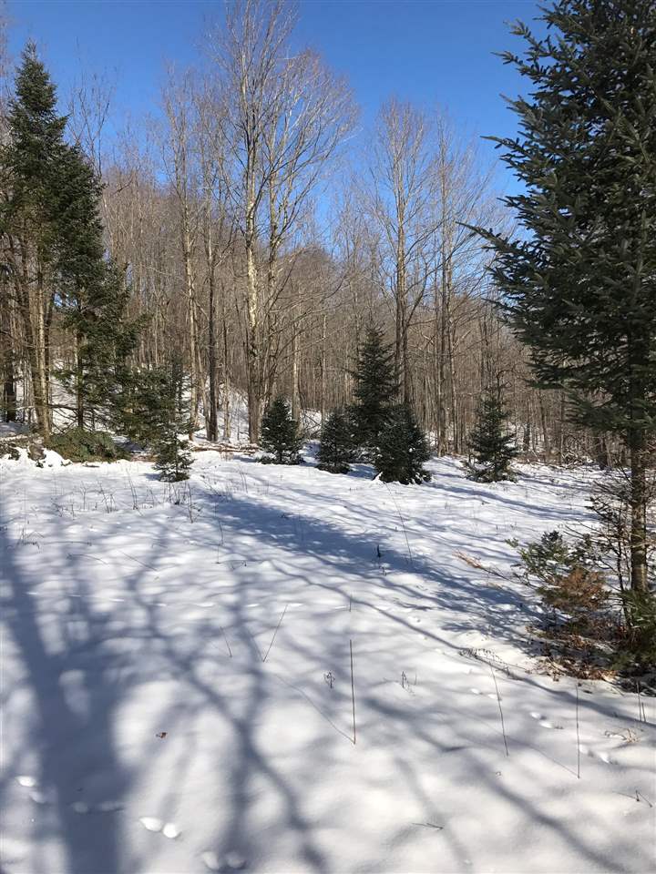 18 Mt Vista Road Underhill, VT 05489 - Photo 3 of 18 Gallery Image 3